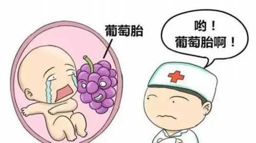 对供卵生的孩子的情感&供卵网,上海捐卵试管婴儿男孩多少钱？十万够吗？