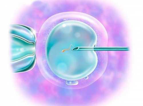 天津公布人体捐献器官获取收费标准