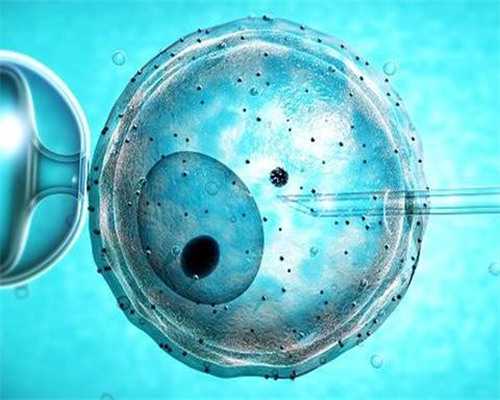 妈妈能感受到胎儿性别&试管 性别,大量进补也可能会导致不孕不育吗别吓我