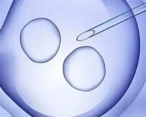 武汉去代孕生子哪家好,武汉正规供卵试管医院,武汉正规供卵机构