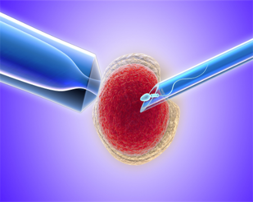 武汉靠谱的代怀机构,武汉一代试管一般都是男孩吗，武汉检查费用