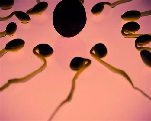 武汉哪些代孕医院,武汉三代试管包成功，武汉试管找哪个医生