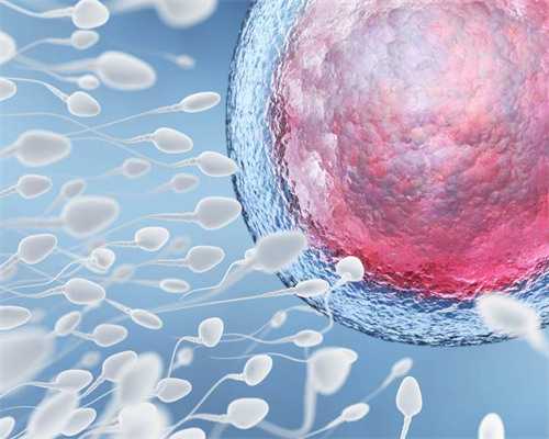 备孕阶段可否饮用四物汤？解答你的疑惑！