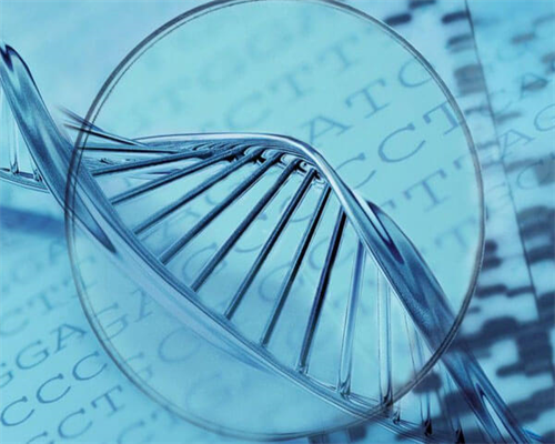 武汉供卵中心名单,2026武汉三代试管做男孩要花多少钱？附费用明细？