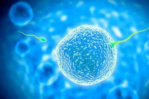 武汉可以做试管的生殖试管私立医院有哪几家？包含什么项目！