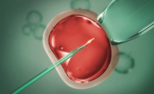 武汉代怀咨询中心,武汉三代试管包成功，武汉试管找哪个医生