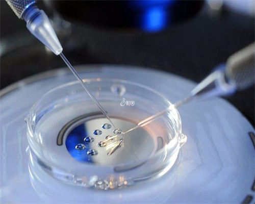 日本人做供卵去哪里&郑大三附院供卵试管,备孕两个月都没怀上？注意这几点能