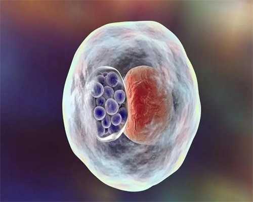 对婴儿本身有害。