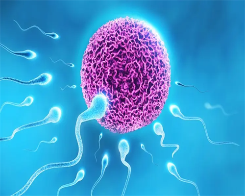 2116的卵泡能受孕么&供卵助孕三代试管,中国助孕机构排名哪家好（附10大国内知