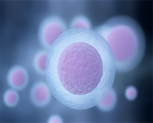 这家yi院，把专业做到了极致?