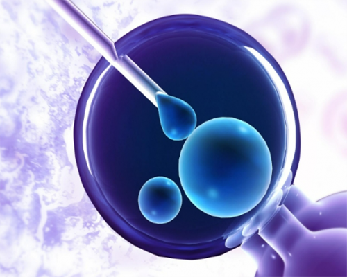 供卵试管婴儿一般15几万&那里做代孕价格低,怀孕期乳房发育变化