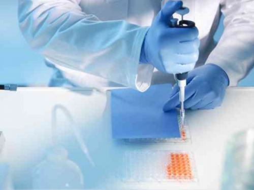 做供卵试管婴儿多少钱&代妈qq群,经期应该喝什么汤比较好