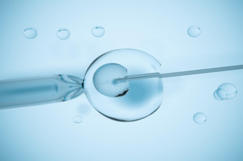 男人备孕之前的准备工作有哪些？