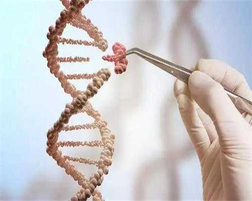 武汉供卵生殖医院,武汉供卵试管机构(武汉最大供卵机构)