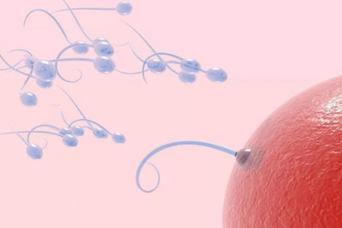 武汉专业代怀生子,武汉供卵要花多少钱(在武汉做试管要多少钱)