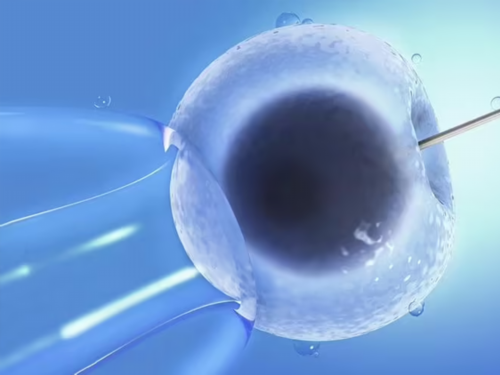 武汉助孕机构名单,附机构介绍