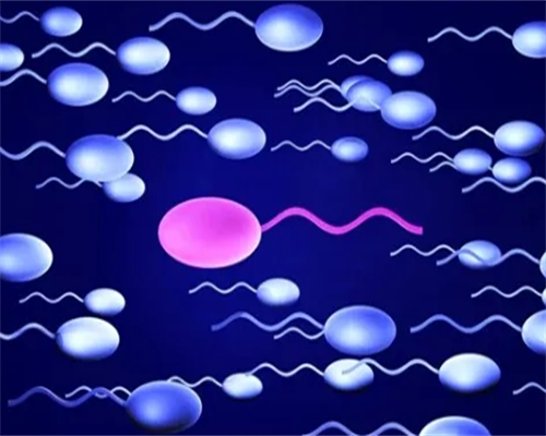 ????备孕关键之四查，让你轻松踏上好孕之路?? 有供卵代孕吗医院