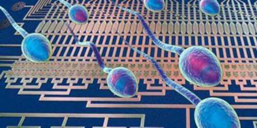 武汉供卵快的医院,武汉春晖供卵试管(武汉春晖供卵)