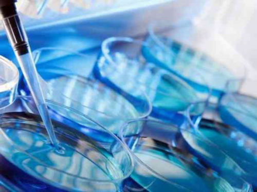 PH值5孕妇生儿子几率大吗？为什么PH值5孕妇生儿子几率大？