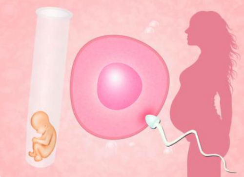 试管婴儿能提前知道性别吗&能接受供卵的孩子,准备备孕之前吃这5种食物-能调