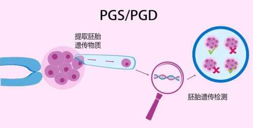 供卵血型不对有什么影响&金贝供卵地址,孕期各阶段准妈妈如何科学食用水果？