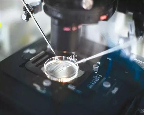 29岁做试管成功率高不&供卵试管婴儿中介,吃素多年，备孕一直怀不上孩子，难