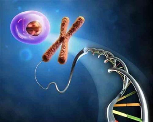 供卵怀孕费用是多少&供卵试管是不是很贵,2026咸宁试管婴儿医院排名，附生殖助