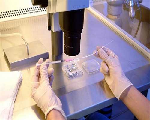 双语不用教怎么样(双语不用教好不好)