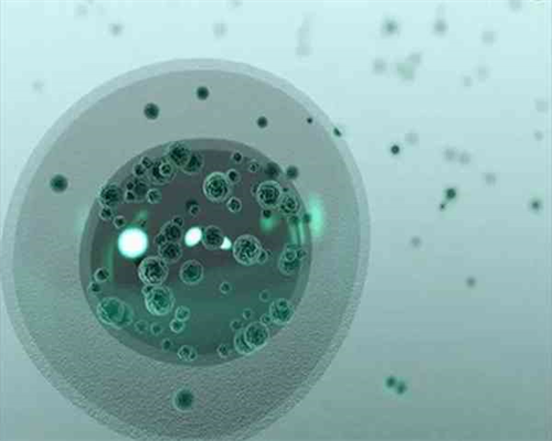 试管供卵可自己找卵源吗&失独半年还没怀孕,无精症做试管婴儿成功没坑人!泰国