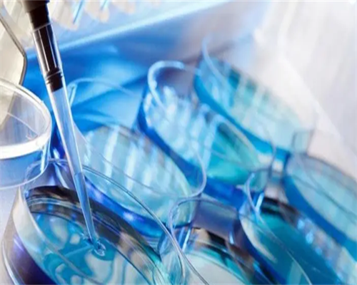 幼儿园一周食谱安排表（营养健康，让孩子健康成长）