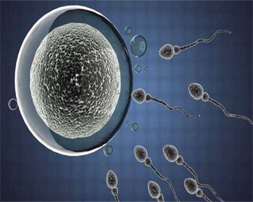 ROGPhone6发布时间ROGPhone6多少钱