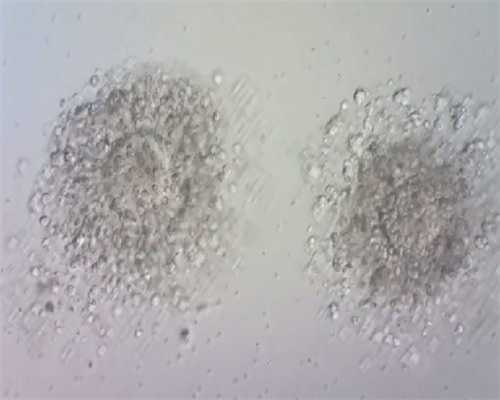 武汉借卵试管包生男孩医院排名一览，附助孕机构名单？