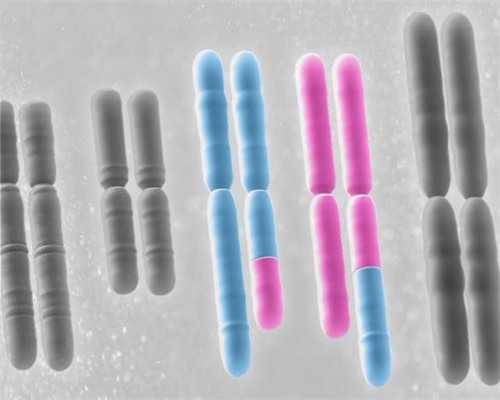 武汉最好试管代怀,武汉助孕医院(武汉试管助孕医院)