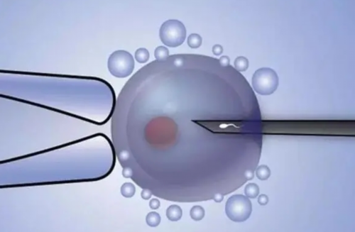 武汉代孕生殖专家,武汉同济医院试管医生(武汉协和医院试管)