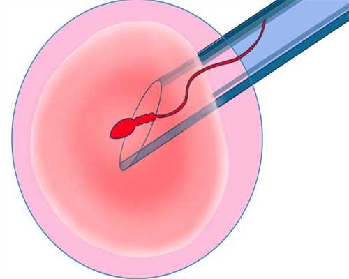 武汉去试管代怀机构,武汉试管包成功费用,武汉试管包成功机构
