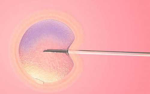 供卵做无创dna准确吗&哪个医院供卵,备孕不能100%依靠勃锐精，治疗少弱精还得“