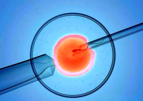 产假有多少天？遇到节假日会顺延吗？