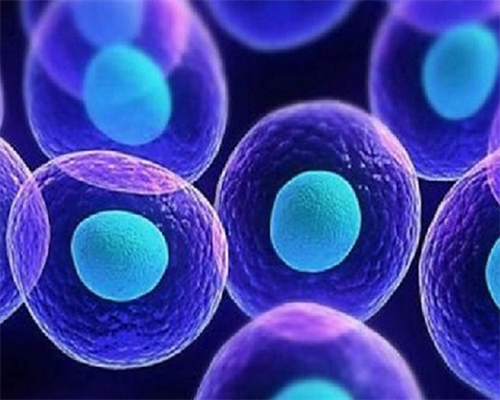 武汉代孕医院,武汉试管婴儿费用大约多少？去武汉做试管贵吗？