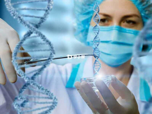 武汉哪家代孕医院最好,武汉同济试管流程(武汉同济试管检查流程)