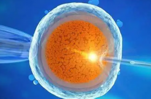 武汉供卵包男孩,武汉供卵包男孩多少钱？