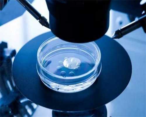 武汉代怀孕零风险,武汉协和做试管费用(武汉协和2026试管费用)