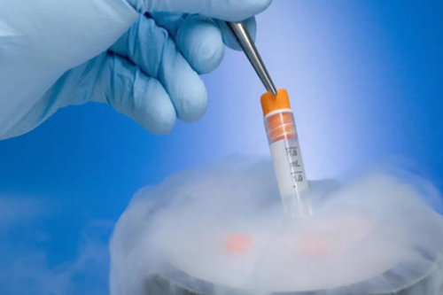 武汉供卵代生收费,参考2026武汉试管借卵生子费用明细！附武汉供卵试管医院