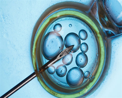 32岁做试管成功率高不&供卵对母体要求,多囊卵巢是怎么形成的(多囊卵巢导致不