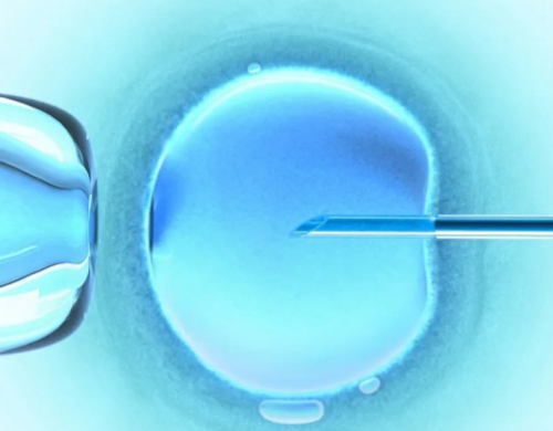 45岁做试管几率有多大&福孕供卵机构,精子质量是影响试管婴儿助孕成功率,提高