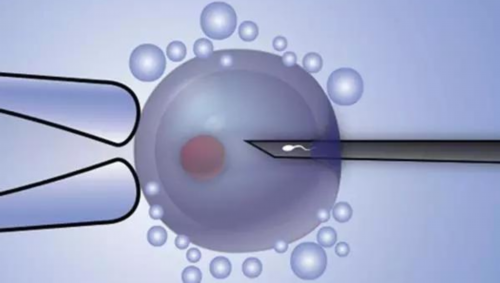 樟树计划生育补贴政策