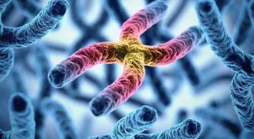 武汉正规供卵费用,武汉民间供卵试管机构靠谱吗？武汉三代试管包生男孩靠不