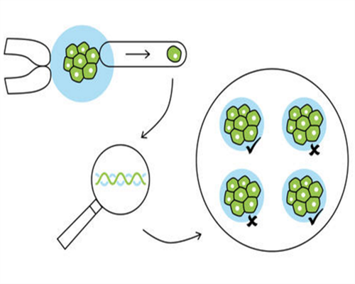 绝经一年多了还能怀孕吗&急找代孕费用,如何评估生育力和怎样选择助孕方式