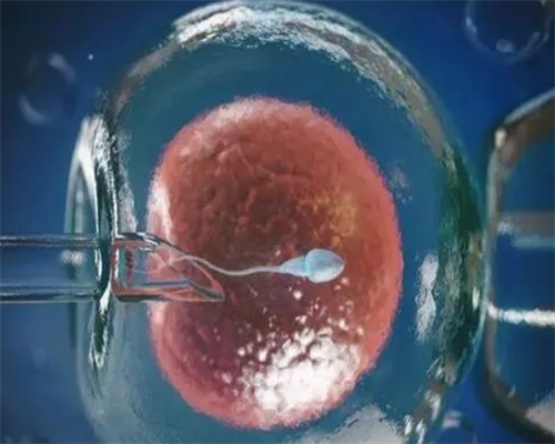 武汉代孕公司哪家好,武汉三代试管助孕孩子-武汉辅助生殖中心