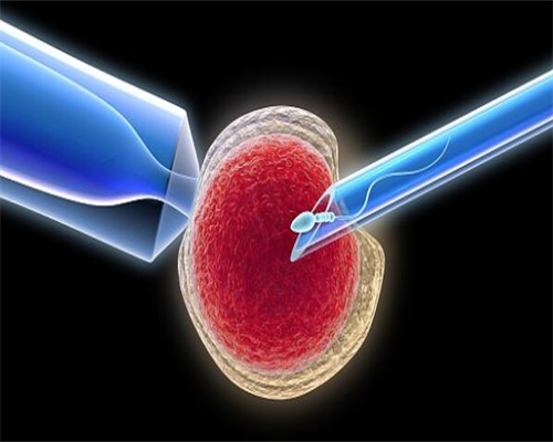 武汉供卵试管孩子价格是多少,武汉试管供卵孩子多少钱一个
