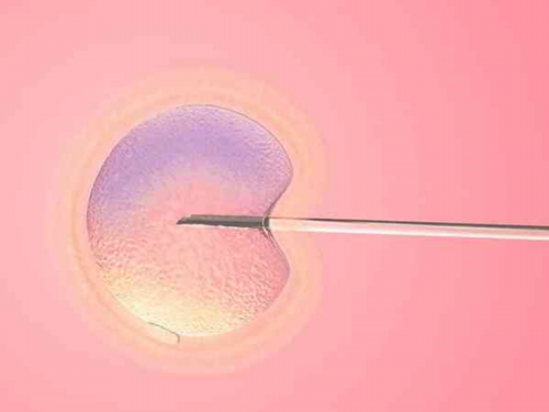 卵巢早衰怎样才能怀孕&捐卵正规,2026广州供卵试管包生男孩助孕费用，附供卵试